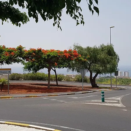 Merci1 * Playa Paraiso (Tenerife)